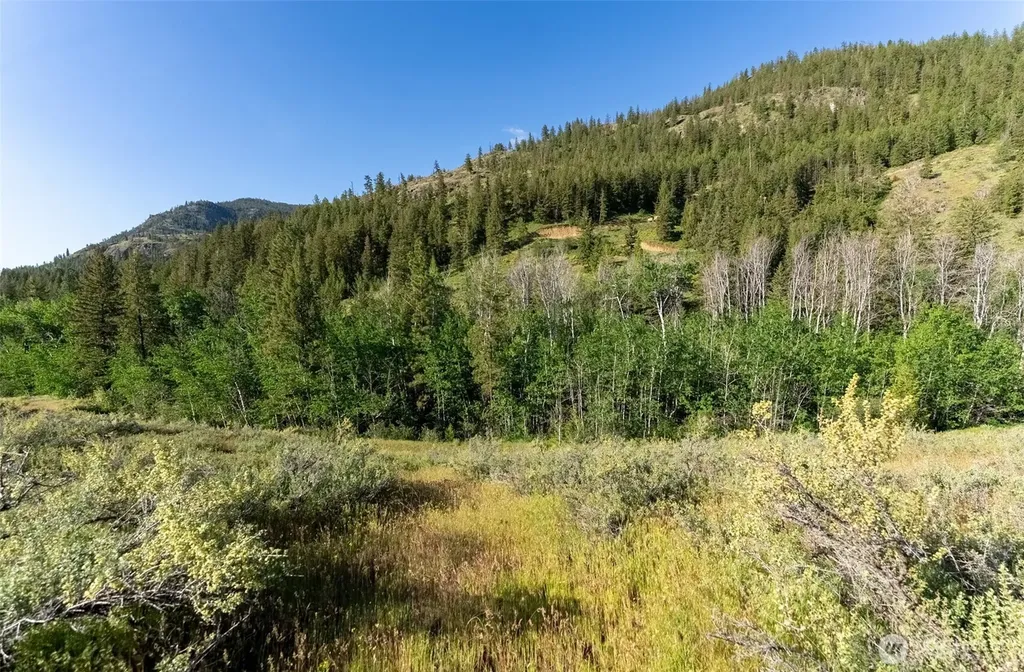 0 Alder Road Twisp WA 98856