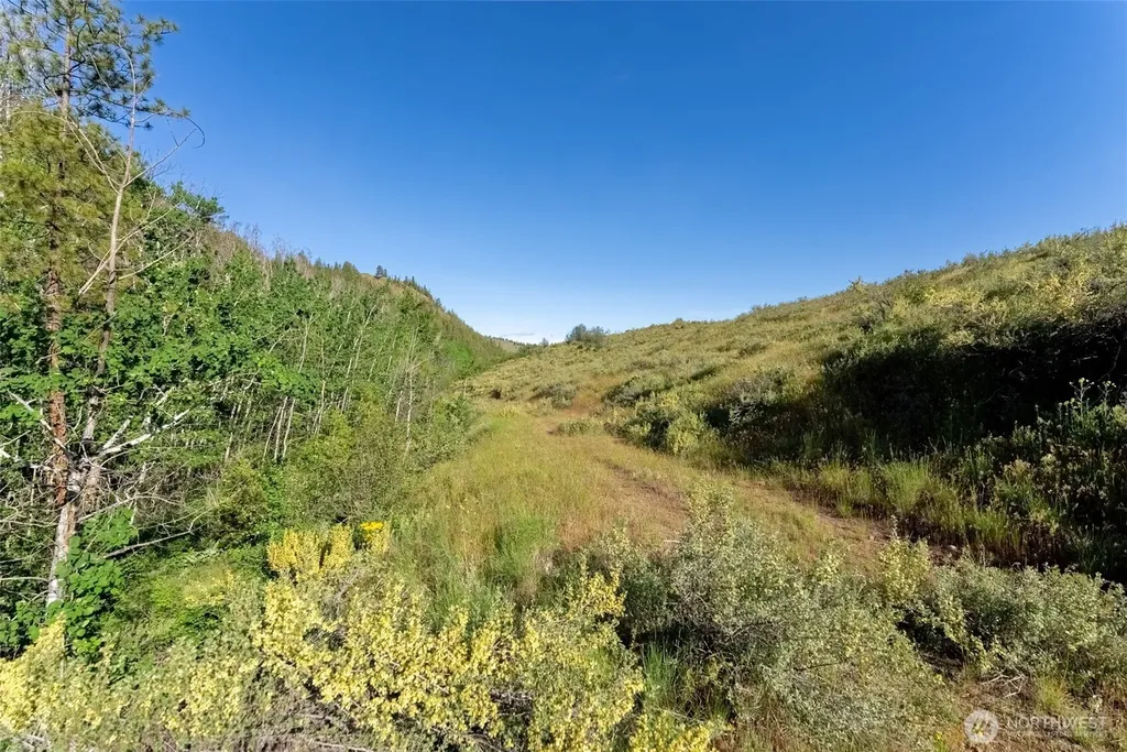 0 Alder Road Twisp WA 98856