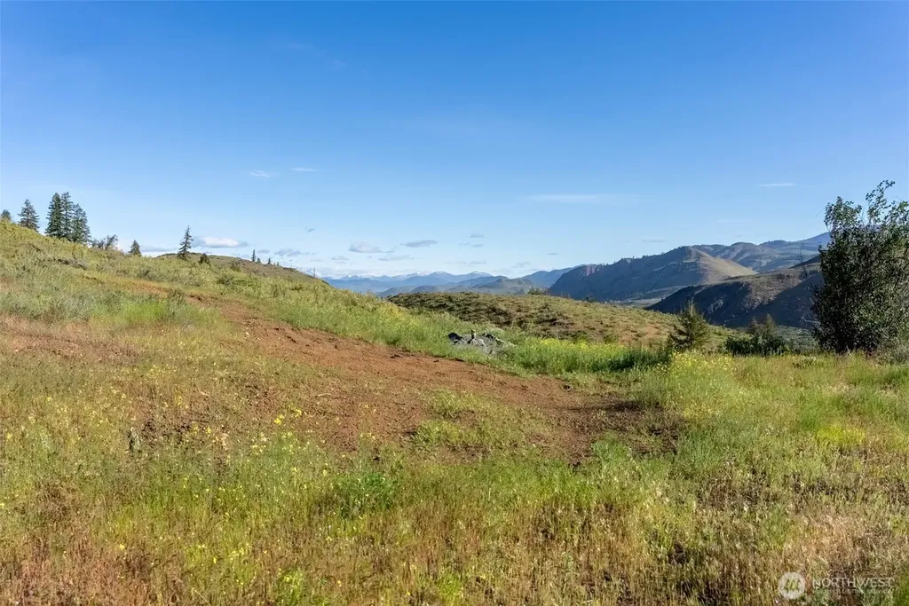 0 Alder Road Twisp WA 98856
