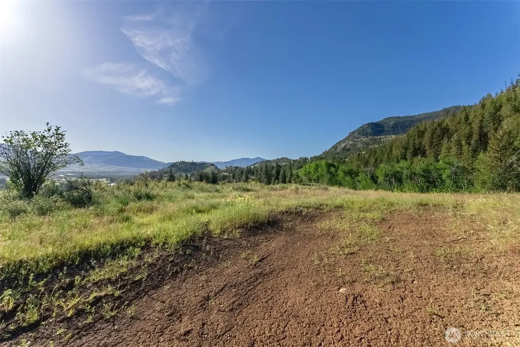 0 Alder Road Twisp WA 98856