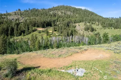 0 Alder Road Twisp WA 98856