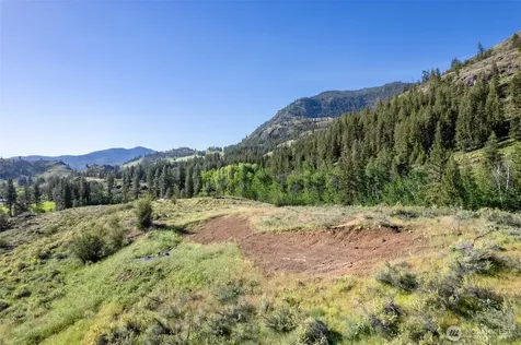 0 Alder Road Twisp WA 98856