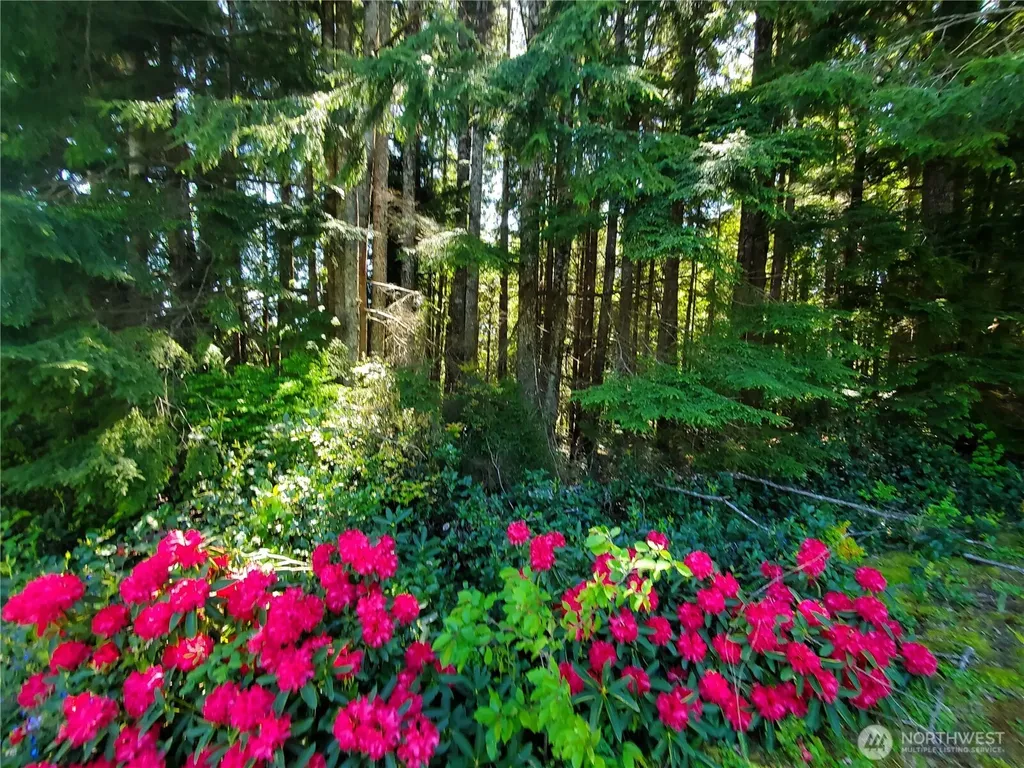 0 Bayview Lane Hoquiam WA 98550