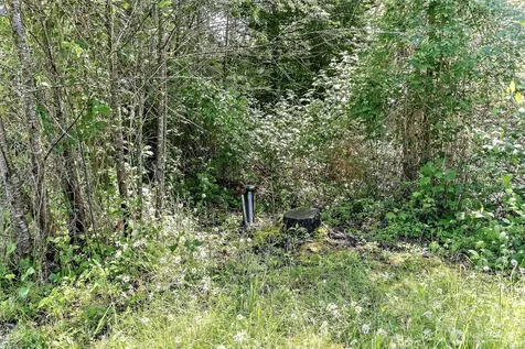 14105 288th Street E Graham WA 98338