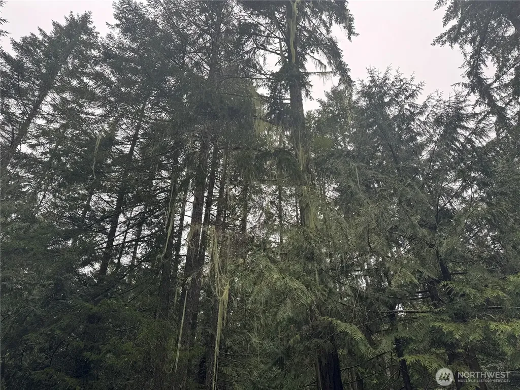 300 N Mount Jupiter Hoodsport WA 98548