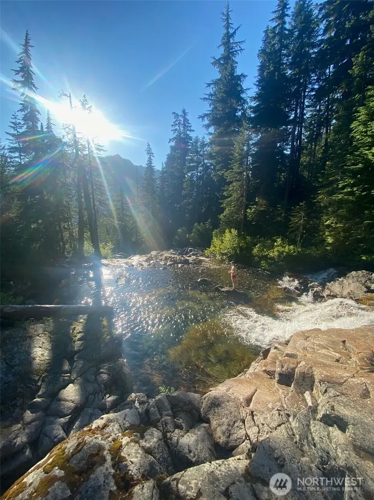 121 Pass Life Way Snoqualmie Pass WA 98068