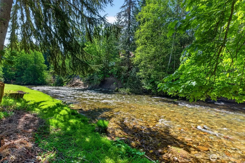 52225 SE 496th Place Greenwater WA 98022