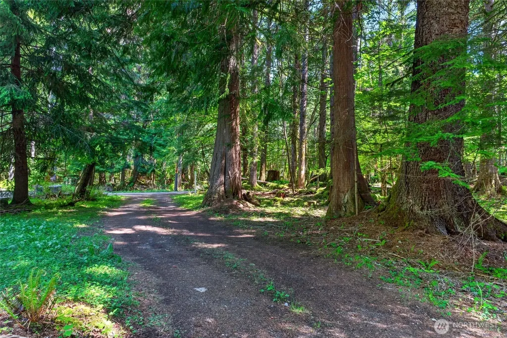 52225 SE 496th Place Greenwater WA 98022