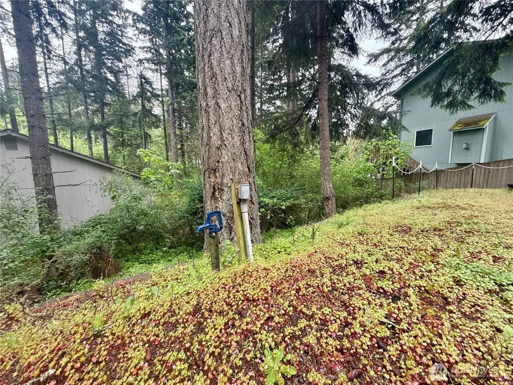 22441 Clearview Court SE Yelm WA 98597