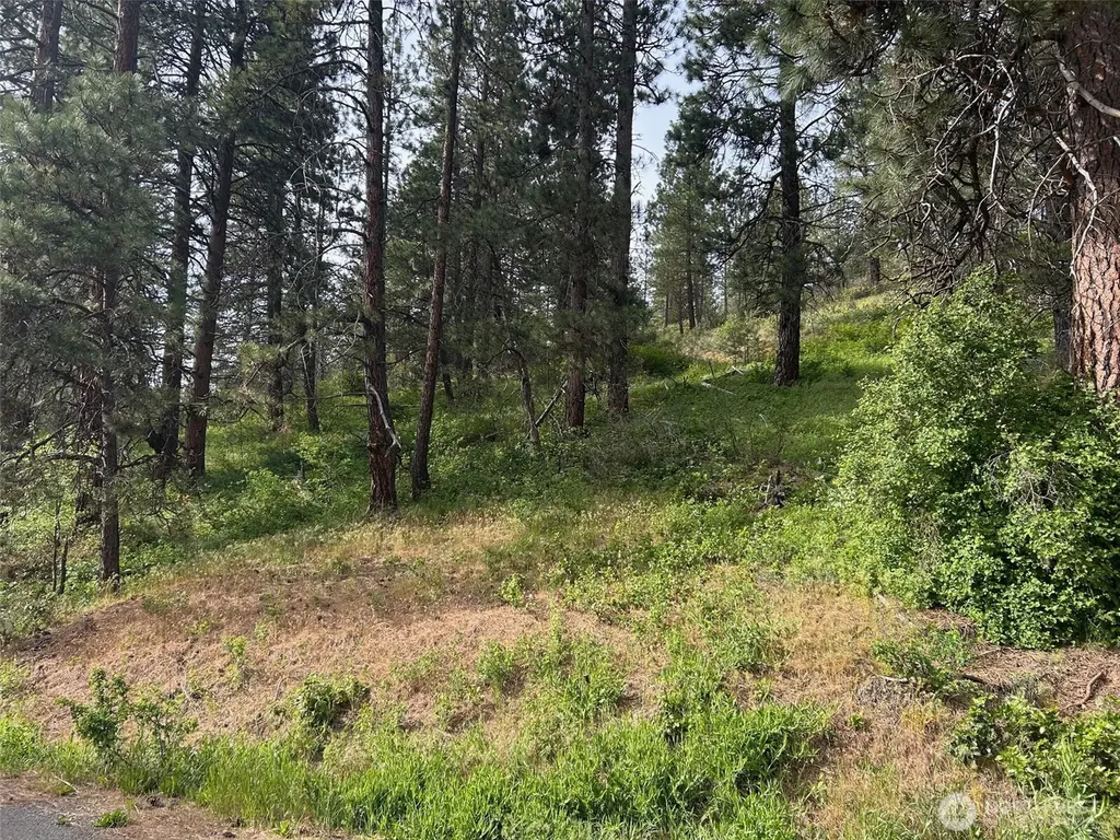 0 W 6th Street Cle Elum WA 98922