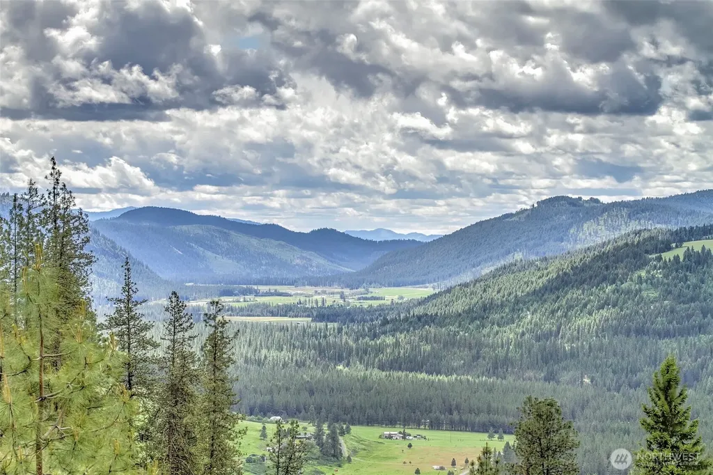 1631 Bonanza Hill Road Evans WA 99126