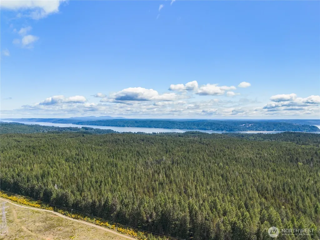 51 N Coho Court Hoodsport WA 98548
