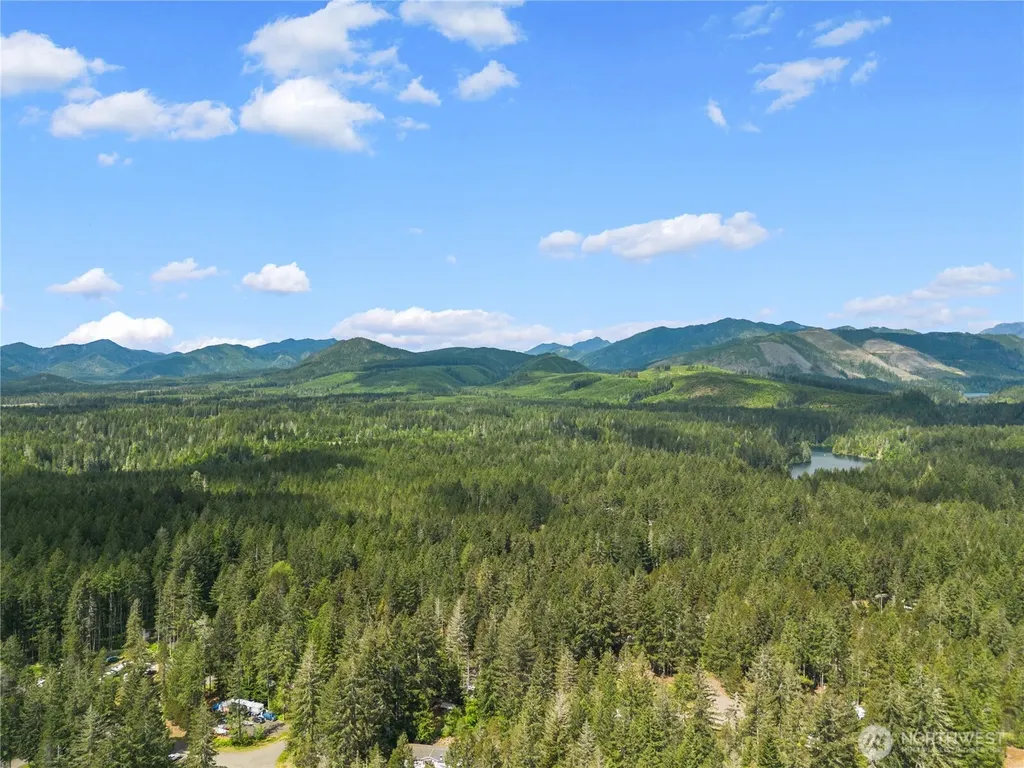 51 N Coho Court Hoodsport WA 98548