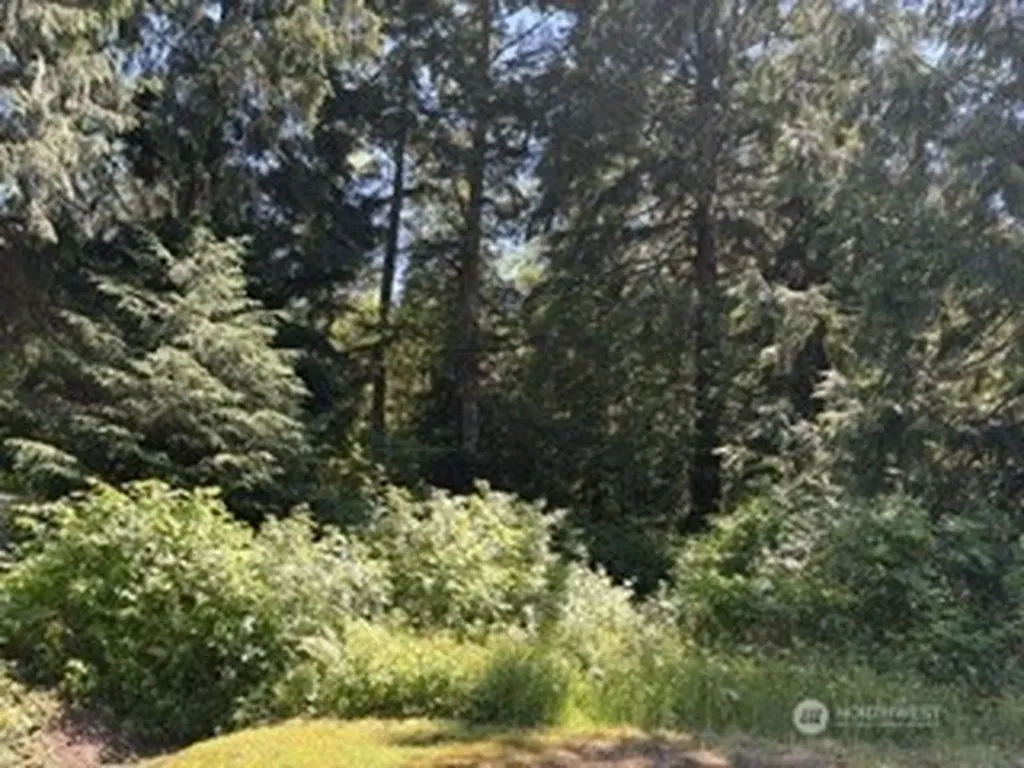 0 441st Avenue SE North Bend WA 98045