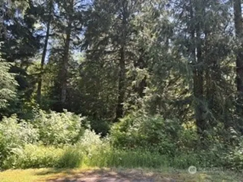 0 441st Avenue SE North Bend WA 98045