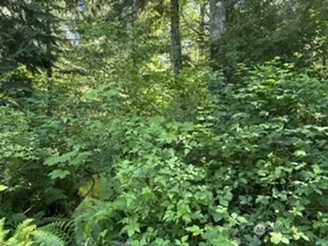 0 441st Avenue SE North Bend WA 98045