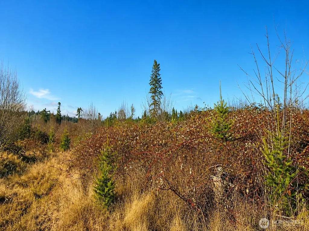 12426 NE Phillip Drive S Kingston WA 98346