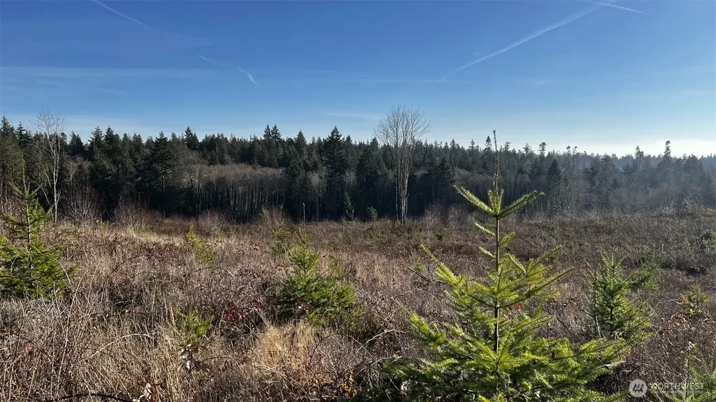 12426 NE Phillip Drive S Kingston WA 98346