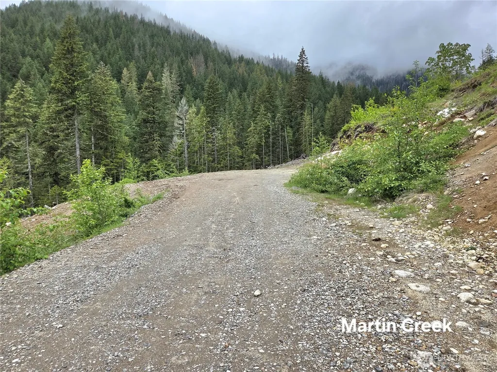 6710 Martin Creek Skykomish WA 98288