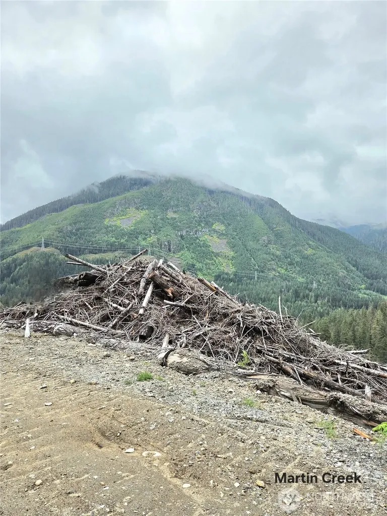 6710 Martin Creek Skykomish WA 98288