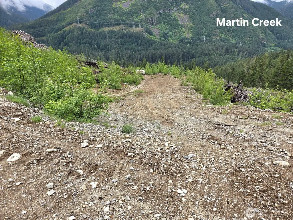 6710 Martin Creek Skykomish WA 98288