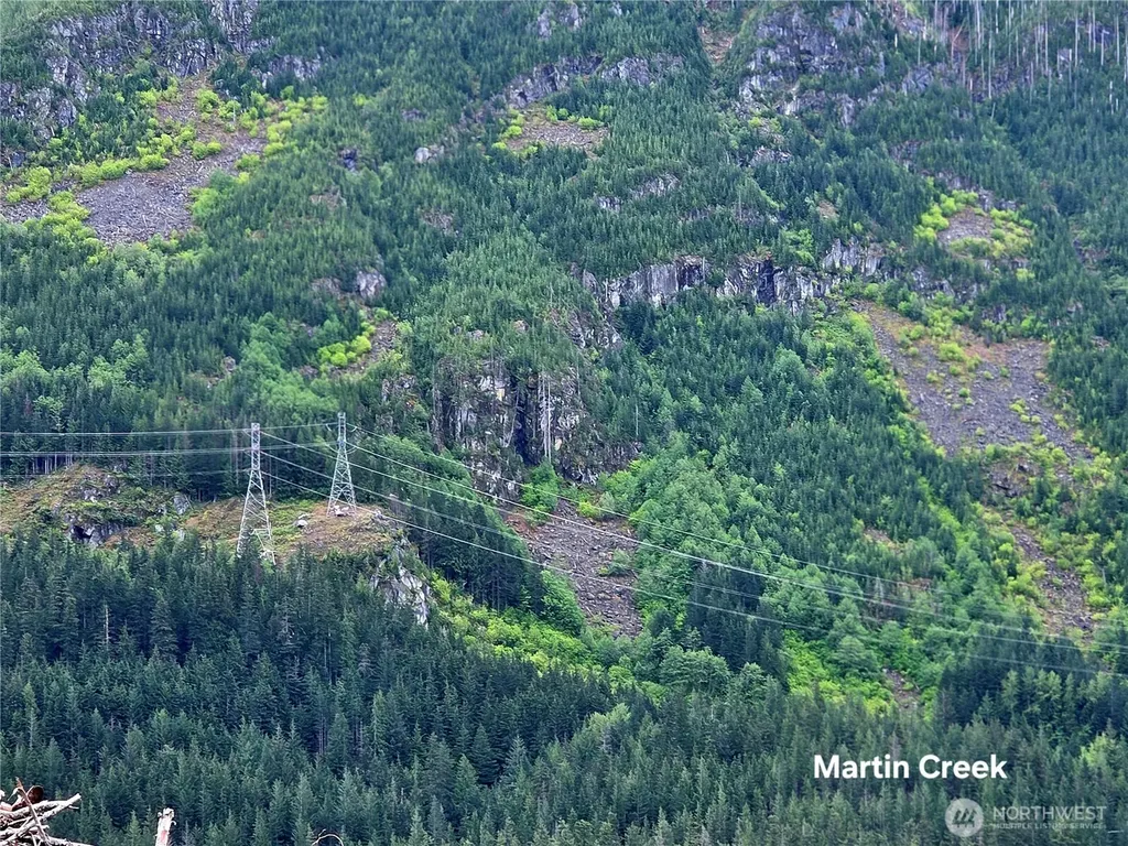6710 Martin Creek Skykomish WA 98288