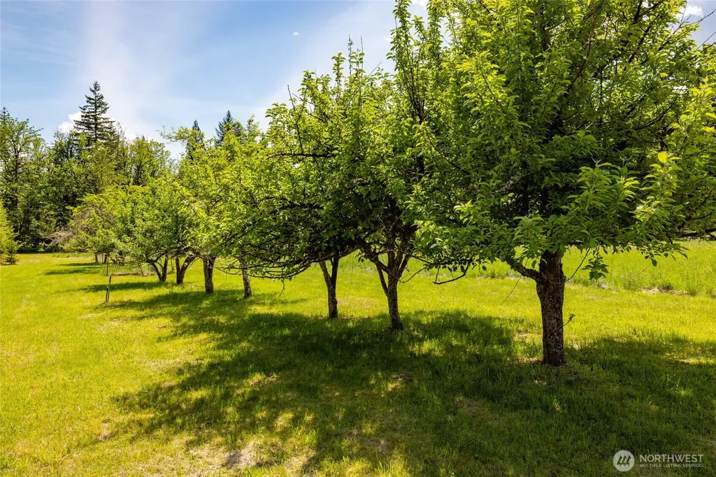 60982 Dexter Lane Marblemount WA 98267