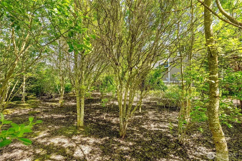 4610 Elmwood Drive Blaine WA 98230