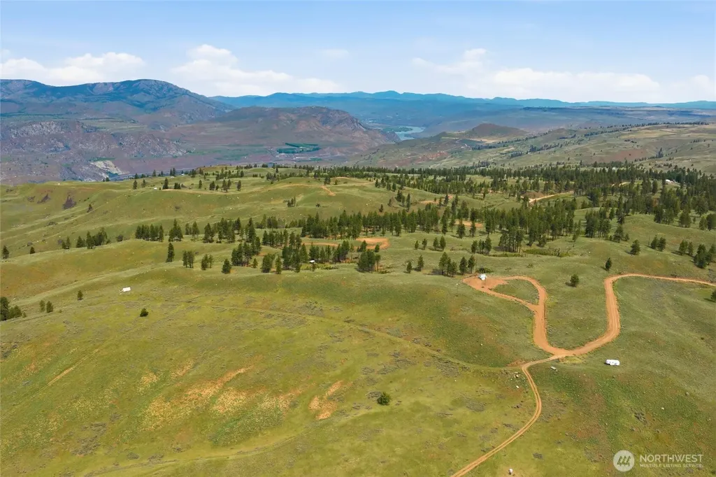 10 Alta Vista Way Waterville WA 98858