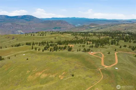 10 Alta Vista Way Waterville WA 98858