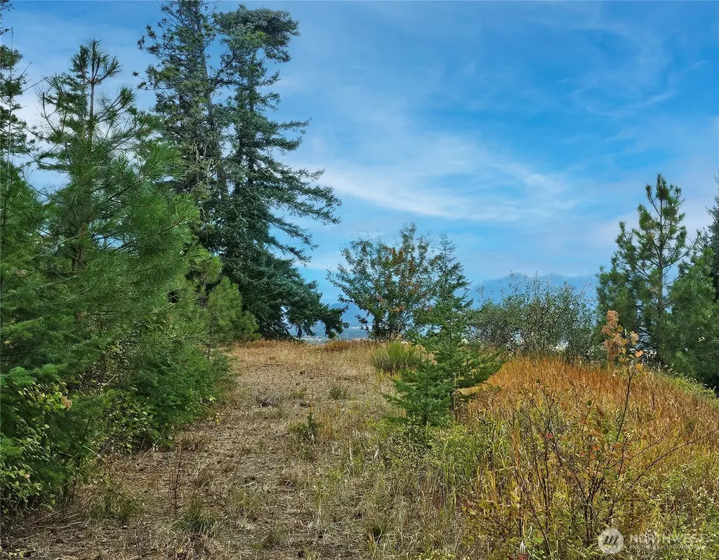 0 Skull Springs Road Cle Elum WA 98922