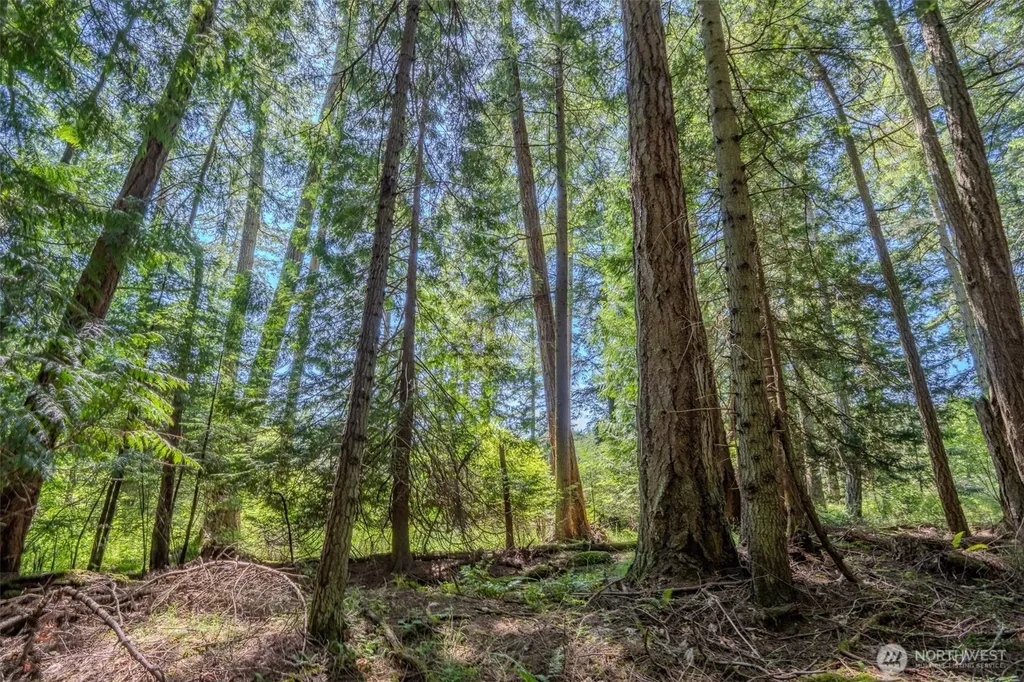 140 Judith Lane Orcas Island WA 98245