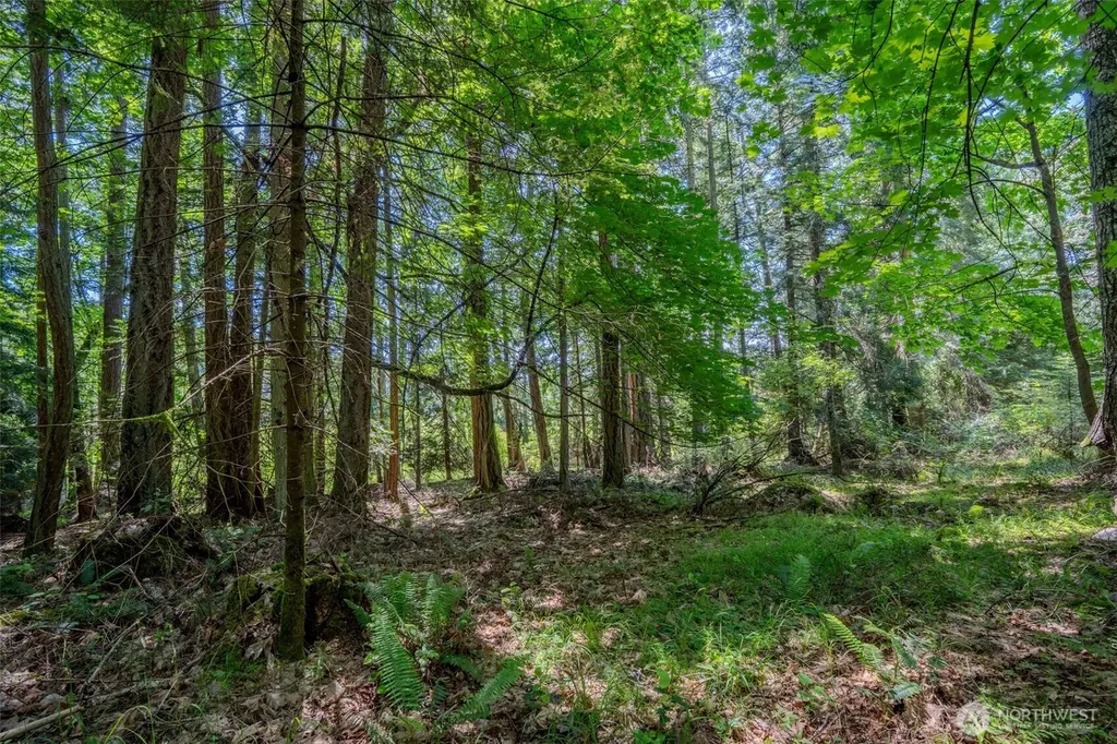 140 Judith Lane Orcas Island WA 98245