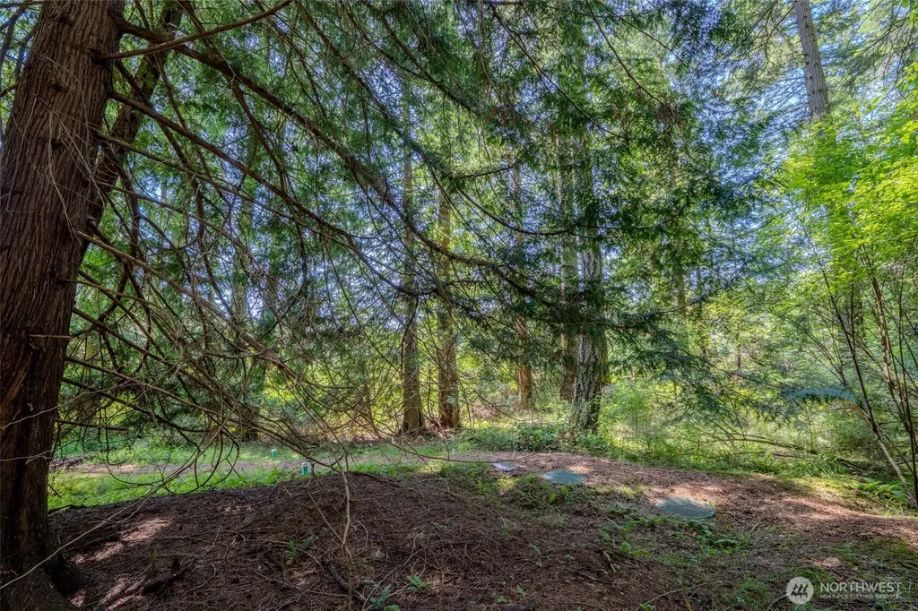 140 Judith Lane Orcas Island WA 98245