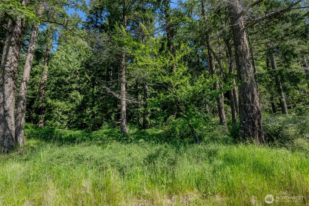 140 Judith Lane Orcas Island WA 98245
