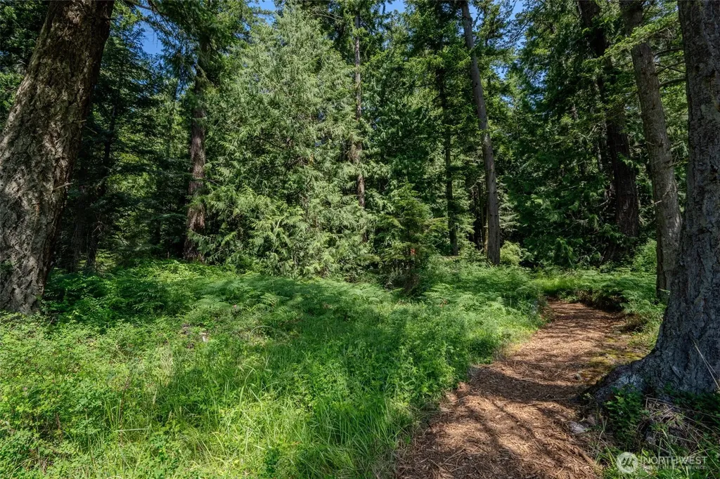 140 Judith Lane Orcas Island WA 98245