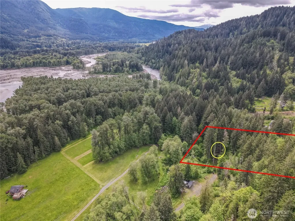 0 Carr Road Randle WA 98377