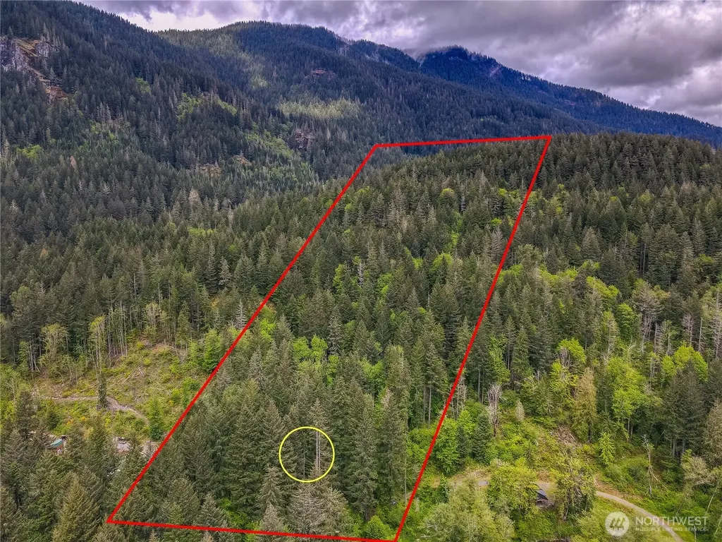 0 Carr Road Randle WA 98377
