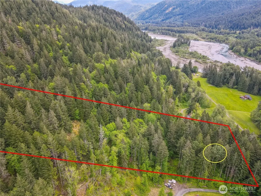 0 Carr Road Randle WA 98377