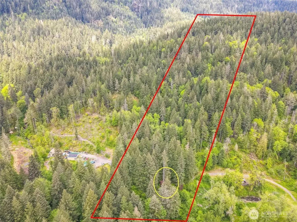 0 Carr Road Randle WA 98377