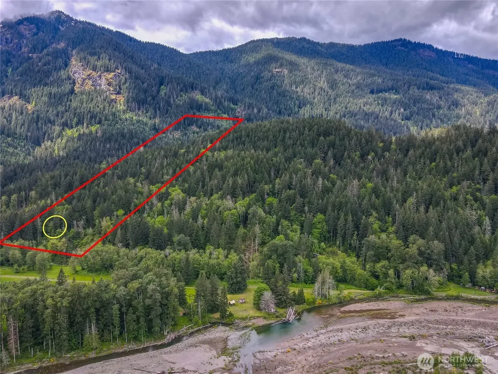 0 Carr Road Randle WA 98377