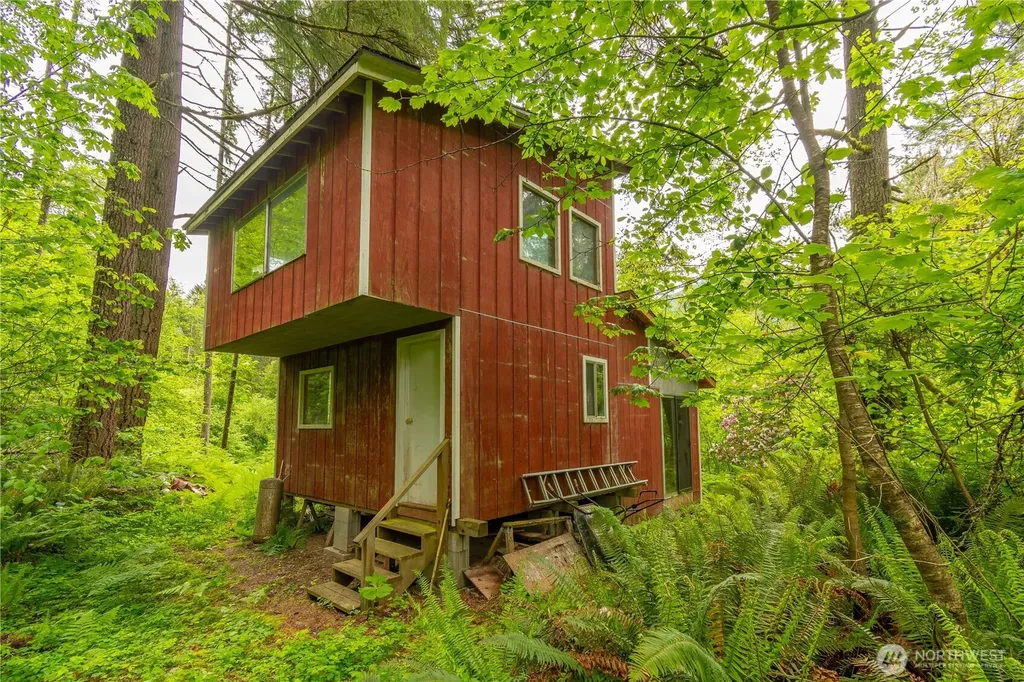 0 Carr Road Randle WA 98377