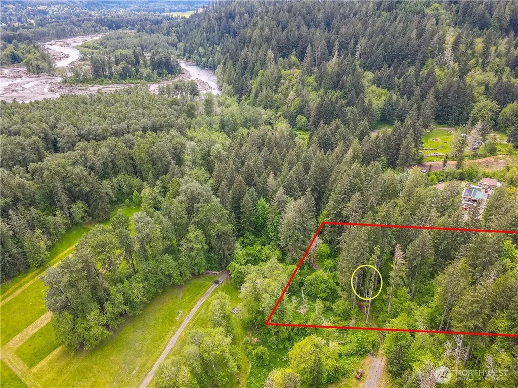 0 Carr Road Randle WA 98377