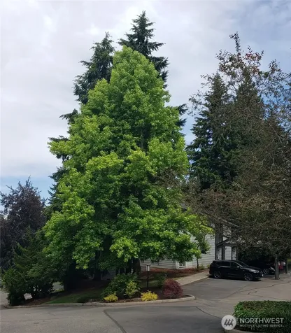12709 NE 116th Street Kirkland WA 98034