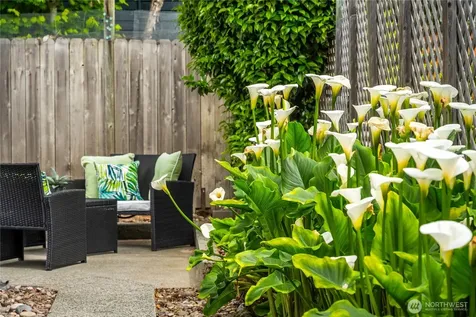 1716 N 43rd Street Seattle WA 98103