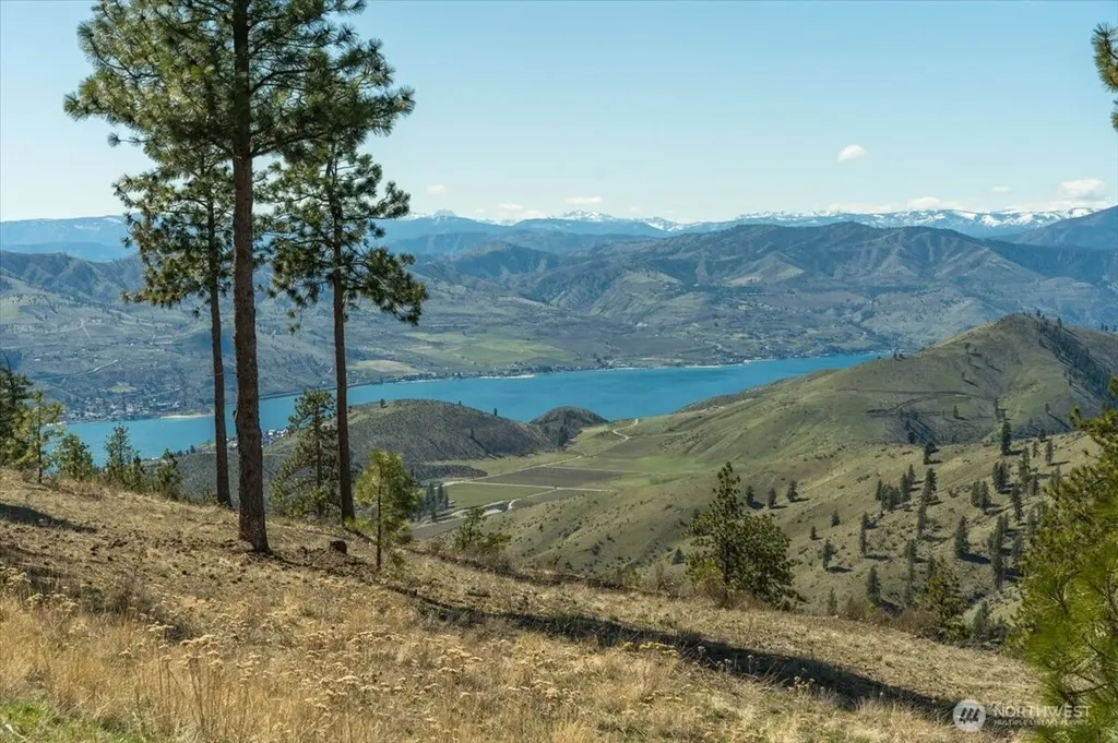 1114 Blazing Star Lane Chelan WA 98816