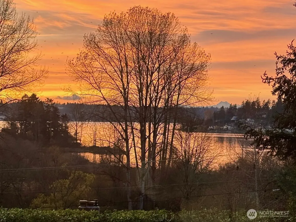 10030 NE 110th Street Kirkland WA 98033
