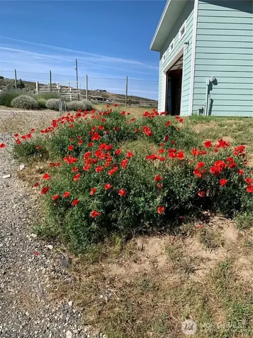 4205 E Plum Point Grand Coulee WA 99133