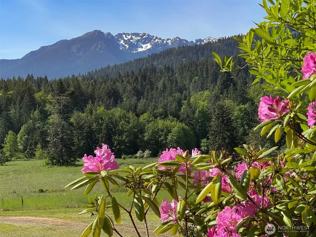 5118 S Mount Angeles Road Port Angeles WA 98362