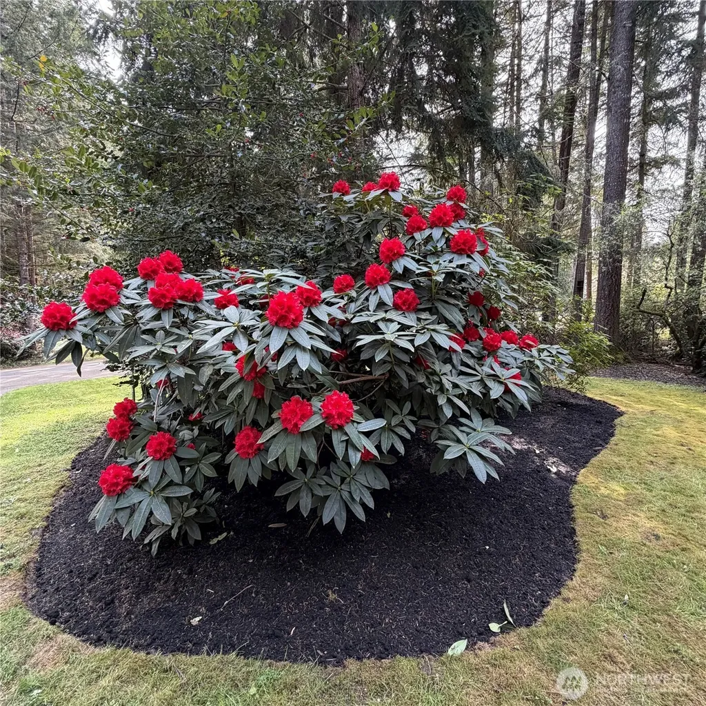 1740 NW Marmot Circle Silverdale WA 98383